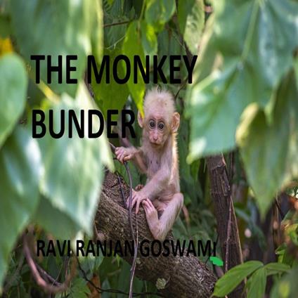 Monkey Bunder, The