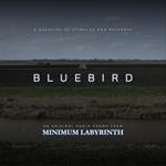 Bluebird