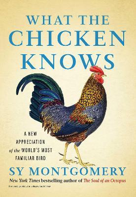 What the Chicken Knows: A New Appreciation of the World's Most Familiar Bird - Sy Montgomery - cover