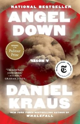 Angel Down (Pulitzer Prize Winner) - Daniel Kraus - cover