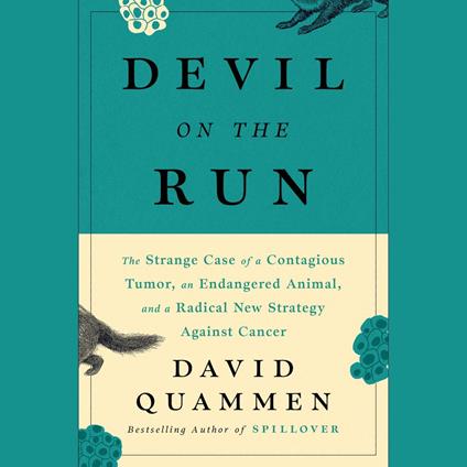 The Devil On The Run