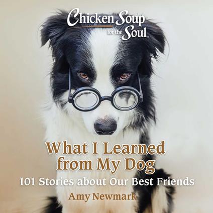 Chicken Soup for the Soul: What I Learned from My Dog