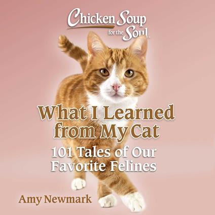 Chicken Soup for the Soul: What I Learned from My Cat