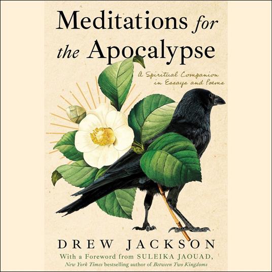 Meditations for the Apocalypse