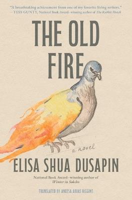 The Old Fire - Elisa Shua Dusapin - cover