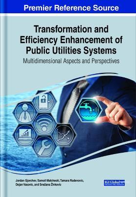 Transformation and Efficiency Enhancement of Public Utilities Systems: Multidimensional Aspects and Perspectives - cover