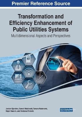 Transformation and Efficiency Enhancement of Public Utilities Systems: Multidimensional Aspects and Perspectives - cover