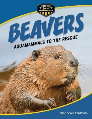 Beavers: Aquamammals to the Rescue - Stephanie Feldstein - cover