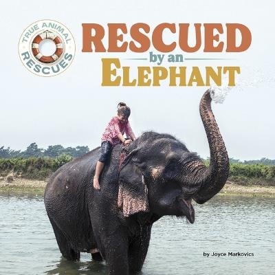 Rescued by an Elephant - Joyce Markovics - cover