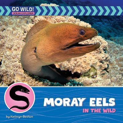 Moray Eels in the Wild - Kathryn Beaton - cover