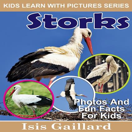 Storks
