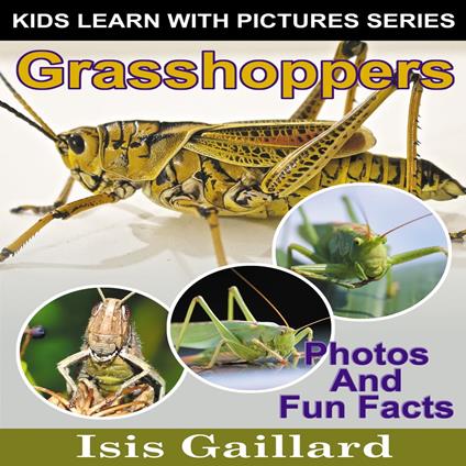 Grasshoppers