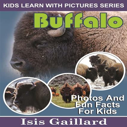 Buffalo