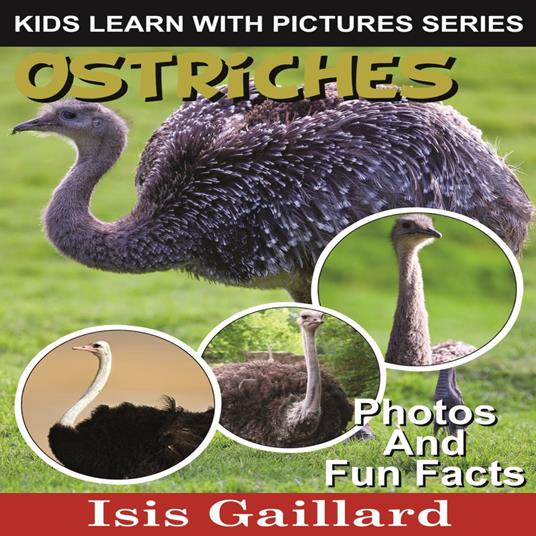 Ostriches