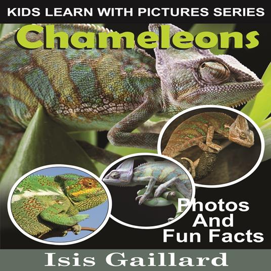 Chameleons