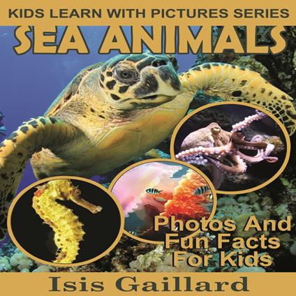 Sea Animals