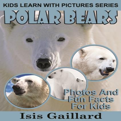 Polar Bear