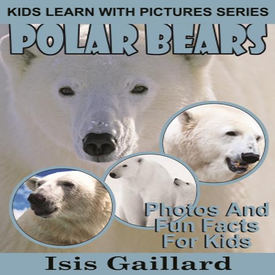 Polar Bear