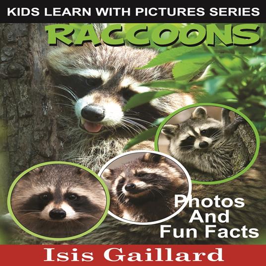 Raccoons