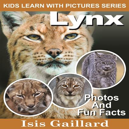 Lynx