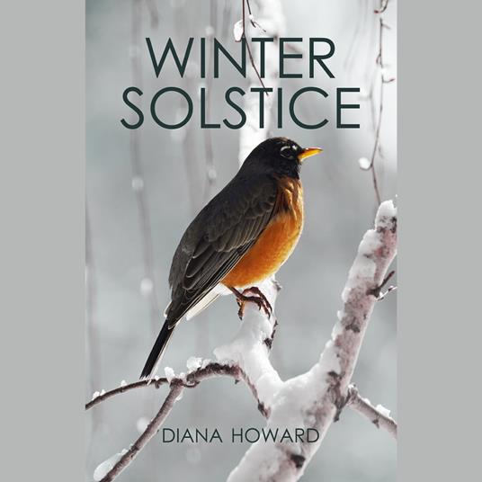 Winter Solstice