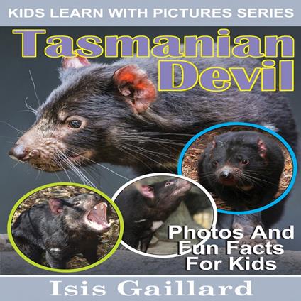 Tasmanian Devil