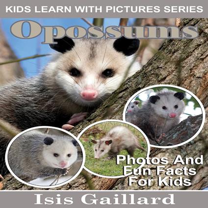 Opossums