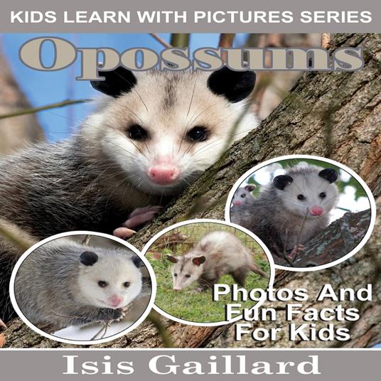 Opossums
