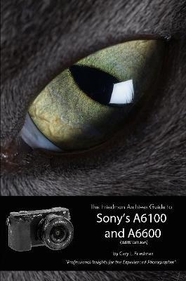 The Friedman Archives Guide to Sony's Alpha 6100 and 6600 (B&W Edition) - Gary L. Friedman - cover