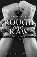 Rough and Raw: Gay Slave Stories