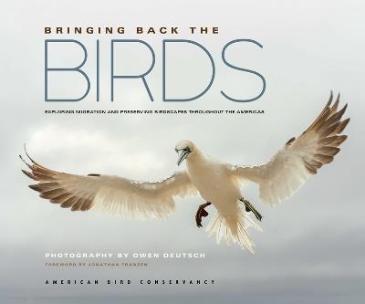 Bringing Back the Birds: Exploring Migration and Preserving Birdscapes Throughout the Americas - American Bird Conservancy - cover