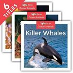 Ocean Animals: Starfish, Octopuses, Dolphins, Clown Fish, Killer Whales, Seahorses
