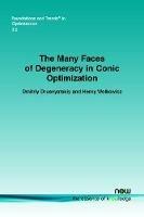 The Many Faces of Degeneracy in Conic Optimization