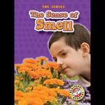 The Sense of Smell