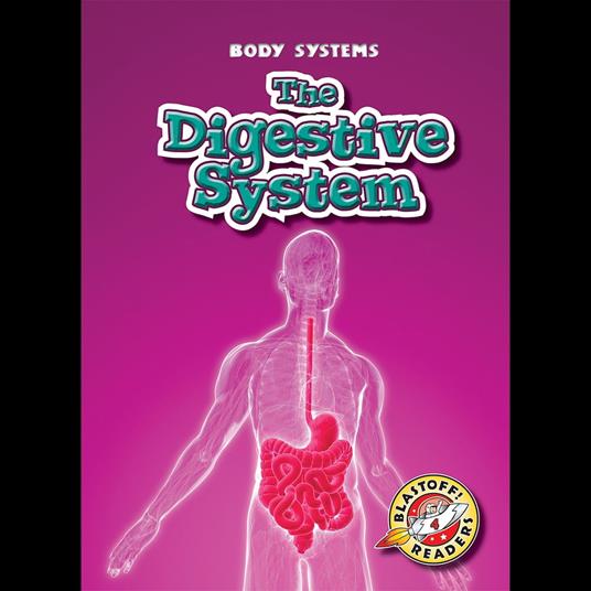 The Digestive System