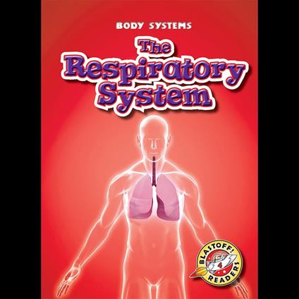 The Respiratory System