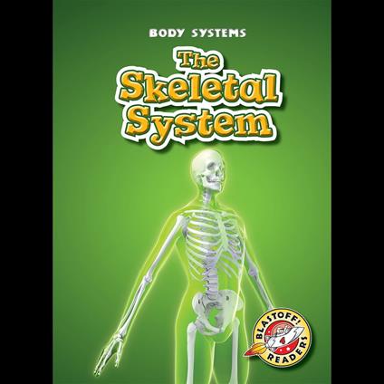 The Skeletal System