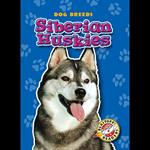 Siberian Huskies