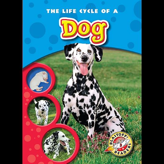 The Life Cycle of a Dog