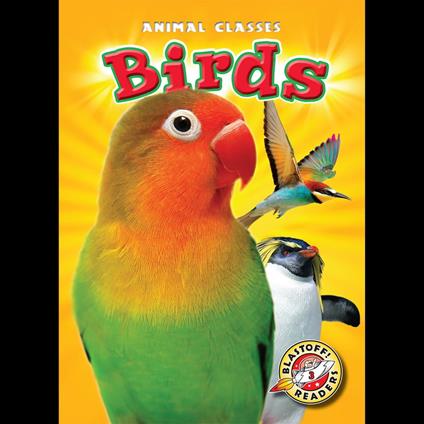 Birds