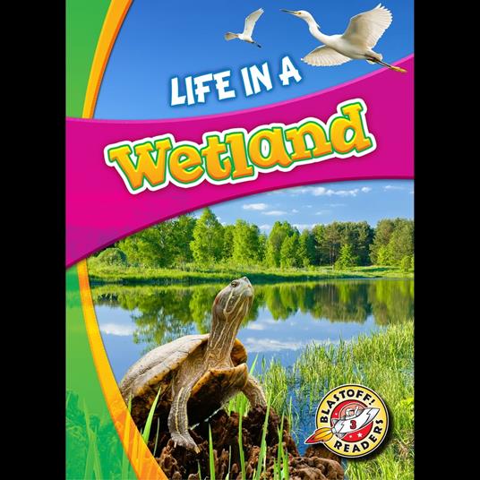 Life in a Wetland