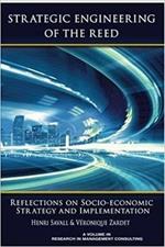 Strategic Engineering of the Reed: Reflections on Socio-Economic Strategy and Implementation
