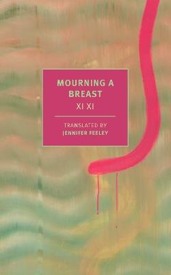 Mourning a Breast - Xi Xi - cover