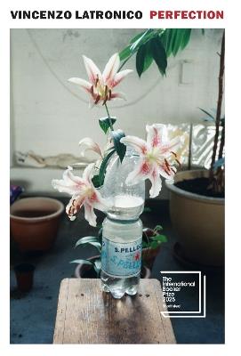 Perfection - Vincenzo Latronico - cover