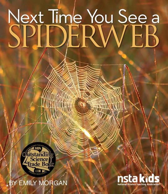 Next Time You See a Spiderweb - Morgan Emily - ebook