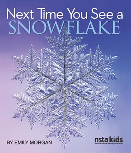 Next Time You See a Snowflake - Morgan Emily - ebook
