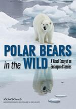 Polar Bears In The Wild: A Visual Essay