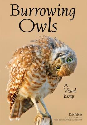 Burrowing Owls: A Visual Essay - Rob Palmer - cover