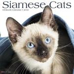Siamese Cats 2018 Wall Calendar