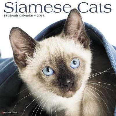 Siamese Cats 2018 Wall Calendar - Willow Creek Press - cover